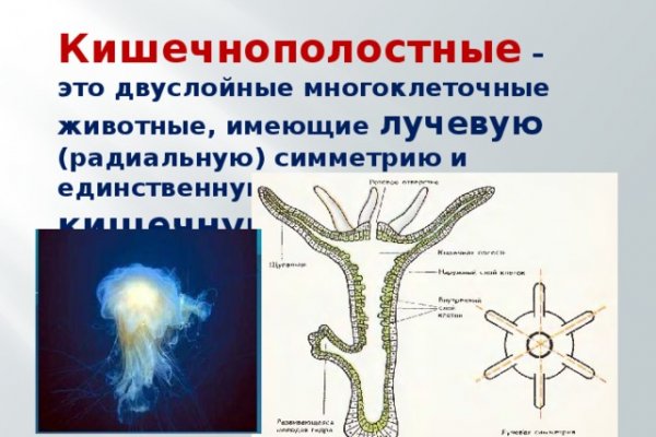 Официальная ссылка на blacksprut bs2webes net