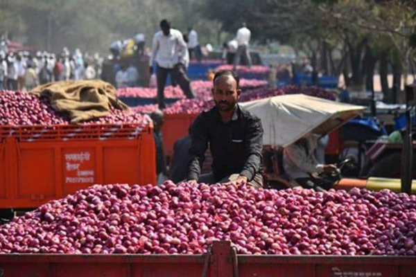 Black sprut market