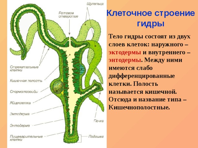 Блэкспрут 2fa код